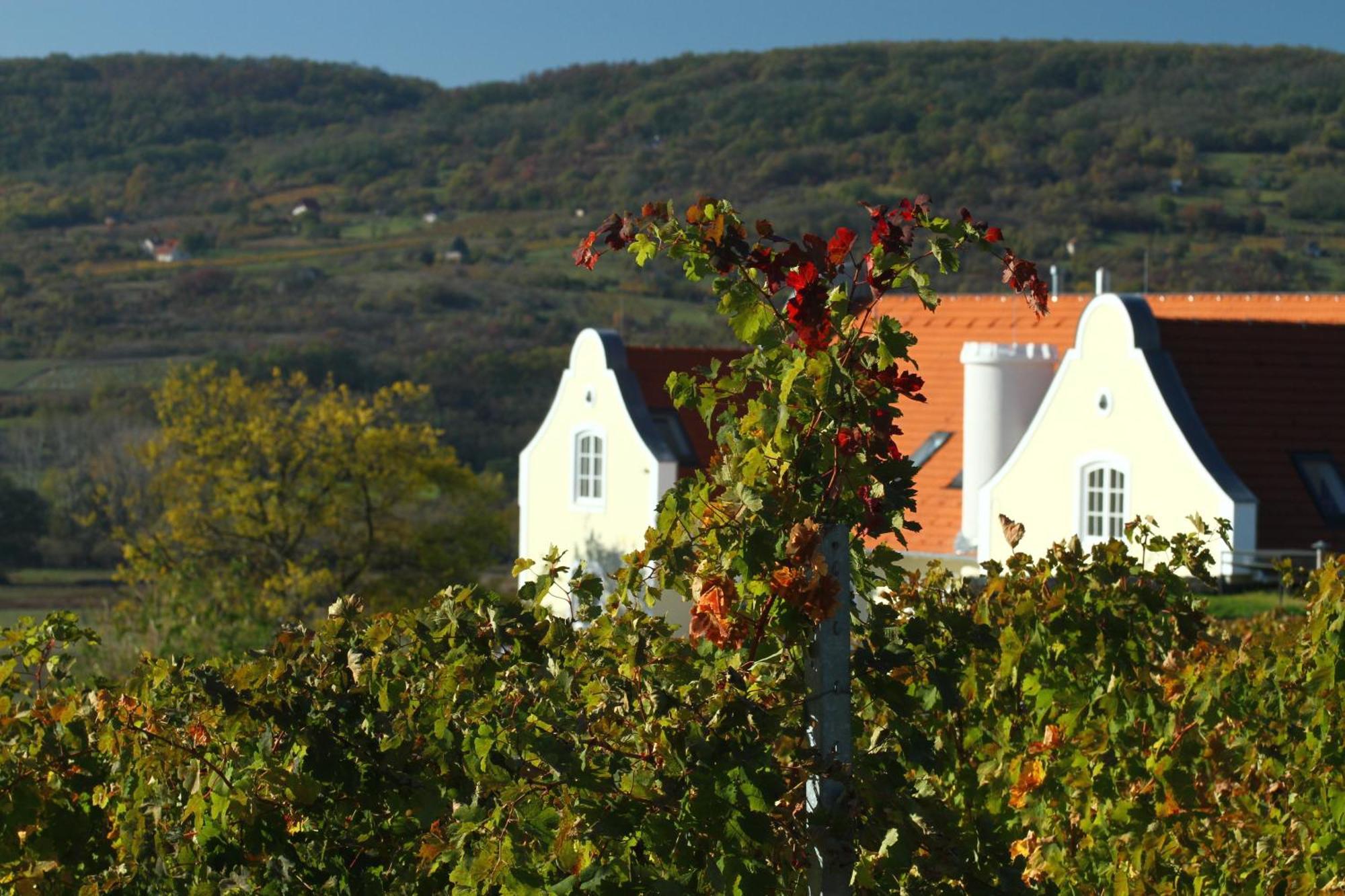 Hotel Liszkay Borkuria Monoszlo Esterno foto
